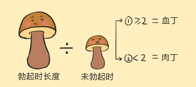 血丁丁和肉丁丁，到底哪个更强