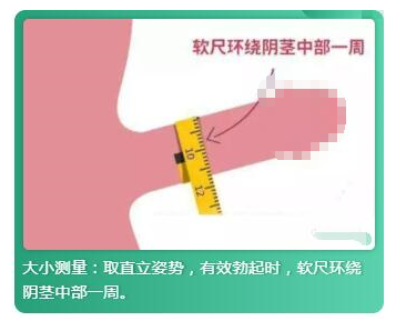 男性直径一般多少为大