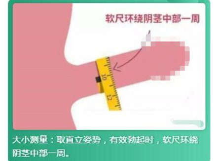 男性直径一般多少为大