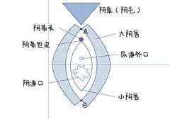 第一次感觉老是对不准怎么办