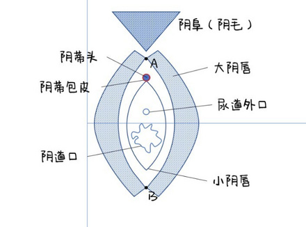 第一次感觉老是对不准怎么办