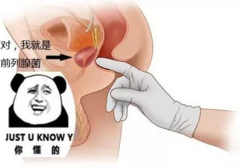 前列腺高C真的会“喷的多”吗？”