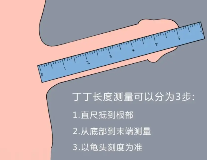 男生25cm是不是太长了