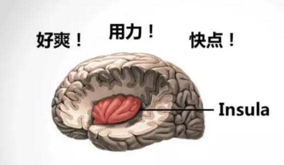 夫妻生活为啥男人爱粗口说脏话