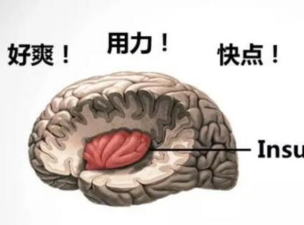 夫妻生活为啥男人爱粗口说脏话