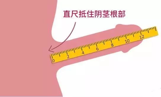 男生10cm是不是有点短了