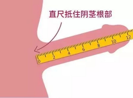 男生10cm是不是有点短了