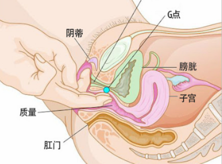 豆豆和G点，你还傻傻分不清吗？