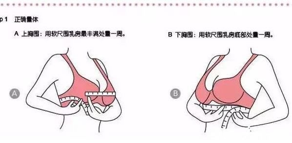36b对应什么尺码