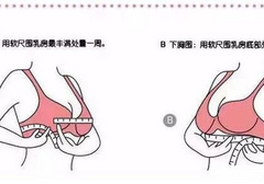 36b对应什么尺码