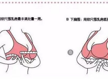 36b对应什么尺码