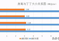 身高和丁丁的长度有关系吗？附相关数据