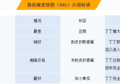 一级、两级…四级,你的丁丁硬度真达标了吗?