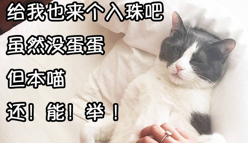 入珠？姑娘，有些“苦瓜”不能尝啊！