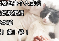 入珠？姑娘，有些“苦瓜”不能尝啊！