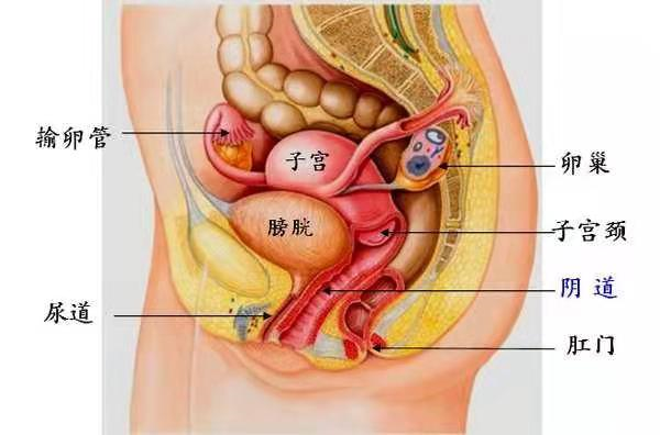 爱爱时垫个枕头，Ta会更爽吗?