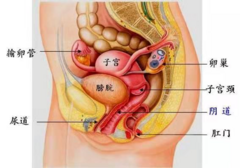 爱爱时垫个枕头，Ta会更爽吗?