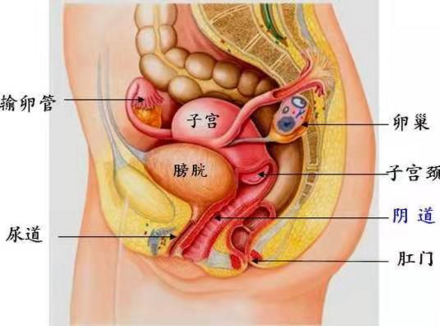 爱爱时垫个枕头，Ta会更爽吗?