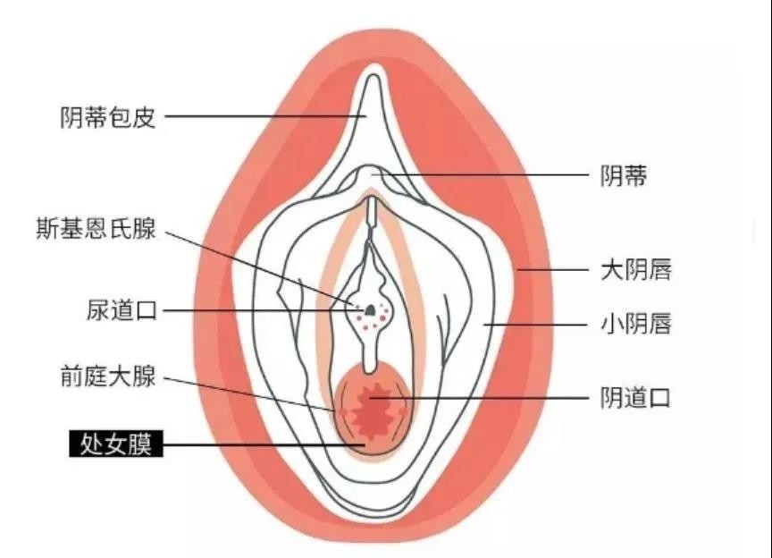 欢乐豆，才是女孩的真正乐趣来源！