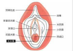 欢乐豆，才是女孩的真正乐趣来源！