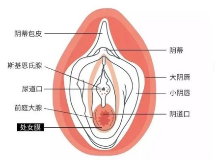 欢乐豆，才是女孩的真正乐趣来源！