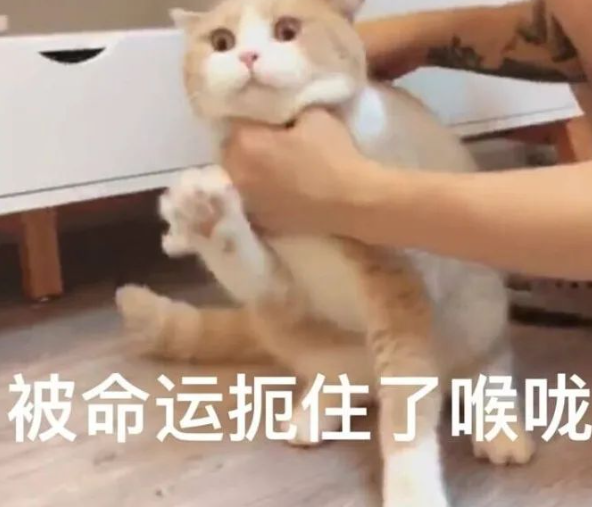 不要轻易玩性窒息，小心产生幻觉！