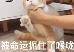 不要轻易玩性窒息，小心产生幻觉！