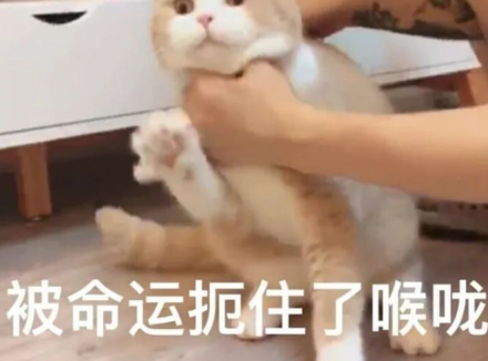 不要轻易玩性窒息，小心产生幻觉！