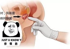 P点高巢是啥？在哪里？