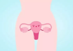 女生真能被顶到「花心」吗?