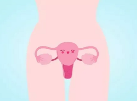 女生真能被顶到「花心」吗?
