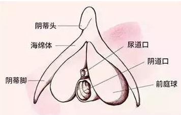 不破膜，女生一样可以体验高C!