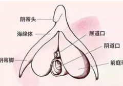 不破膜，女生一样可以体验高C!