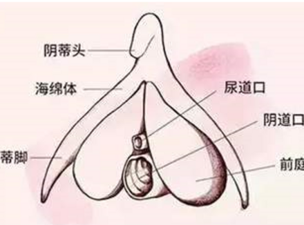 不破膜，女生一样可以体验高C!