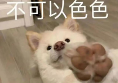 古人的X玩具能有多疯狂！
