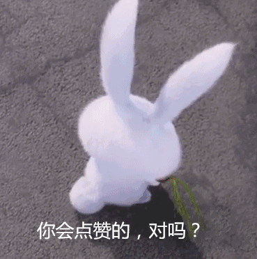 探索“菊部”奥秘，需要准备什么？