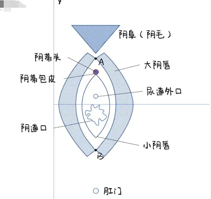 图解：教你第一次如何正确找口