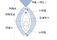 图解：教你第一次如何正确找口