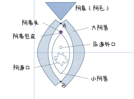 图解：教你第一次如何正确找口