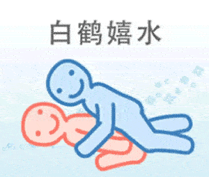 “后入式”，成为了老司机口中的YYDS！