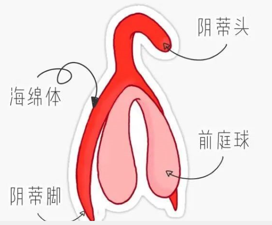 想要让Ta舒服到颤抖，“撩豆”技巧不能少！