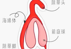 想要让Ta舒服到颤抖，“撩豆”技巧不能少！