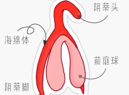 想要让Ta舒服到颤抖，“撩豆”技巧不能少！