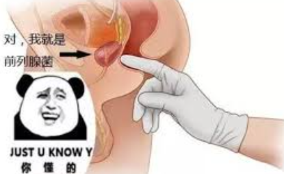 摸到前列腺的真实体验，你准备好了吗？