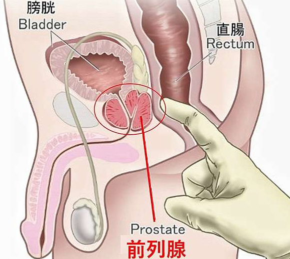 前列腺：如何判断自己已探索到达？