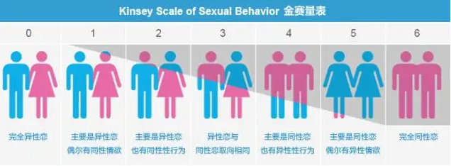 性取向不是非黑即白那么简单
