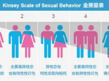性取向不是非黑即白那么简单