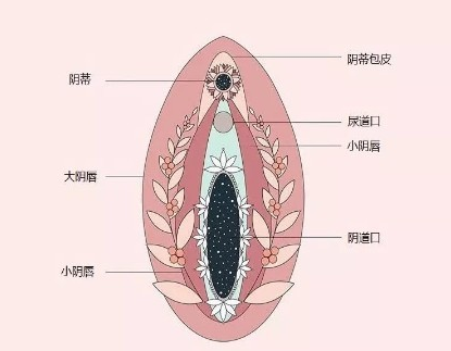 作为女生，怎么找到巅峰的那个点？