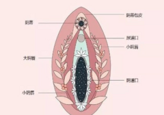 作为女生，怎么找到巅峰的那个点？