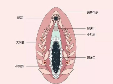 作为女生，怎么找到巅峰的那个点？